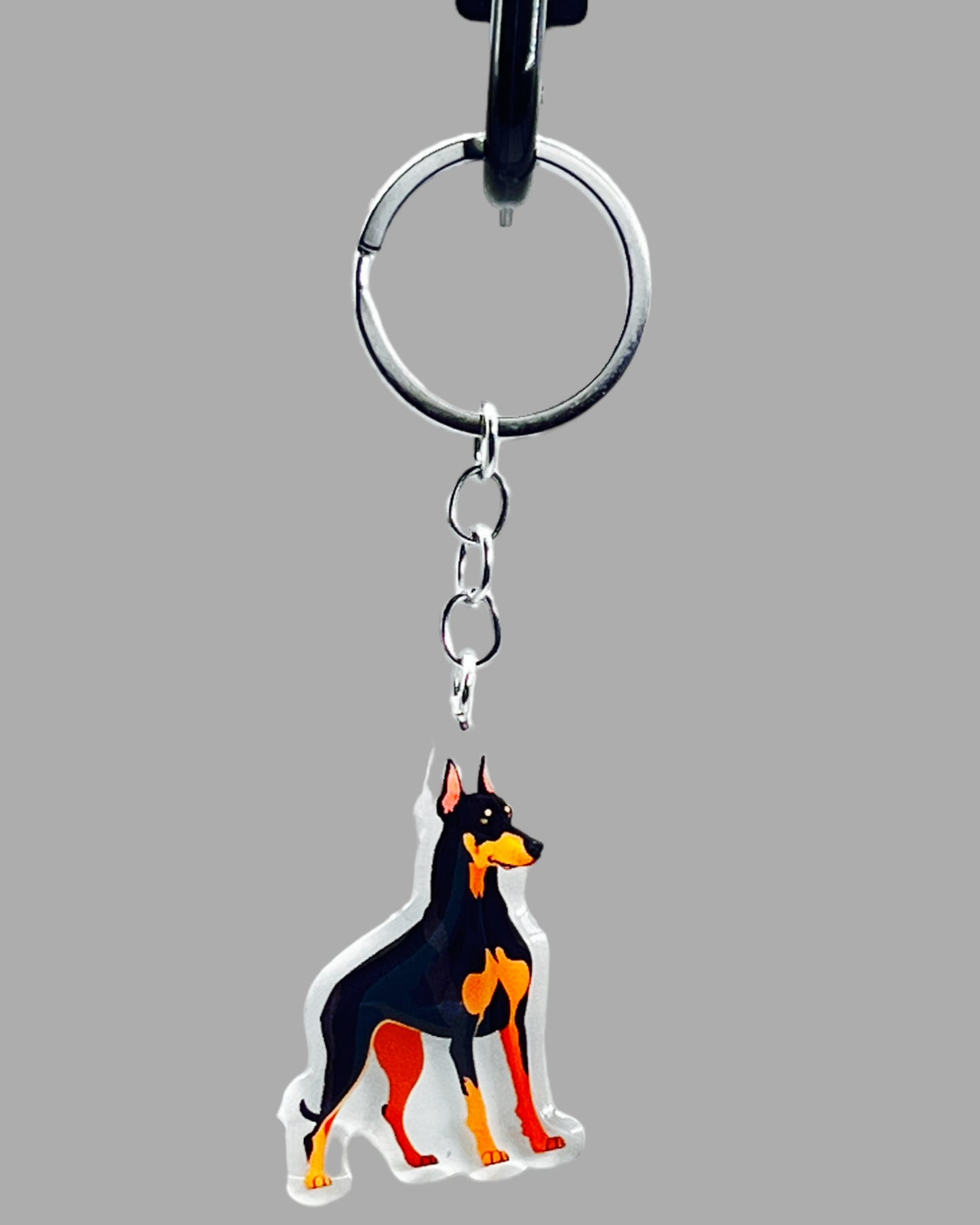 Doberman Pinscher Dog Acrylic Keychain Cute kawaii memorial ornament, pet portrait charm gift backpack photo fob, dad car décor, dog mom gift