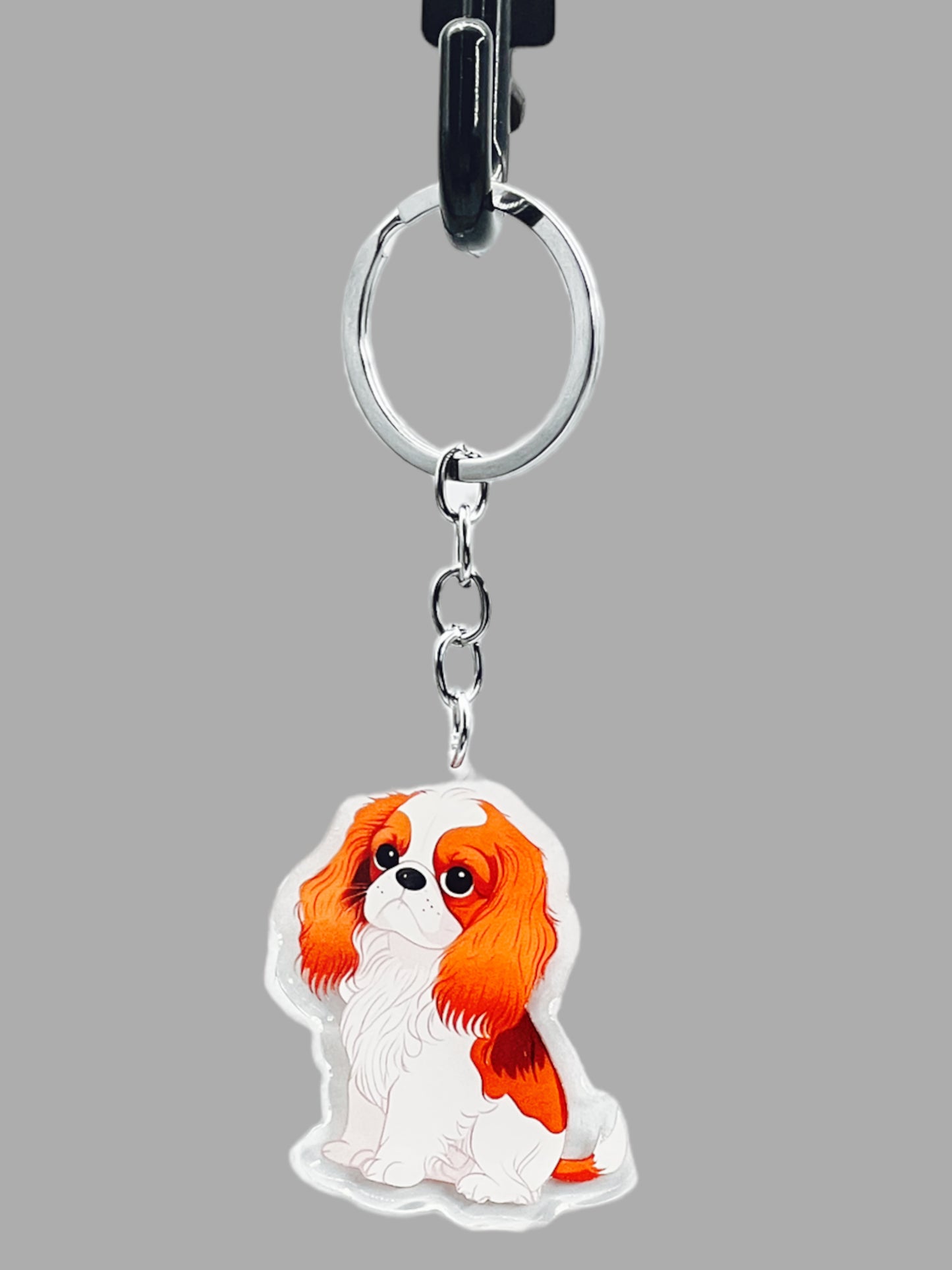 Doberman Pinscher Dog Acrylic Keychain Cute kawaii memorial ornament, pet portrait charm gift backpack photo fob, dad car décor, dog mom gift