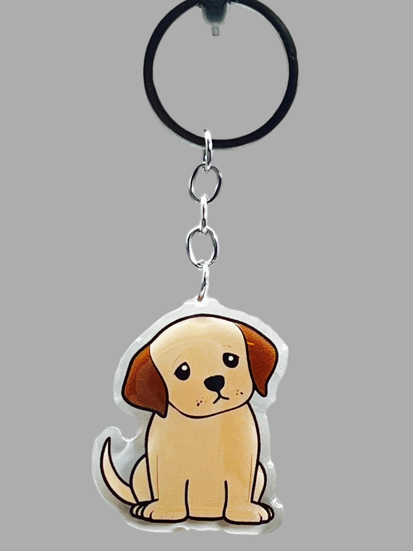 Doberman Pinscher Dog Acrylic Keychain Cute kawaii memorial ornament, pet portrait charm gift backpack photo fob, dad car décor, dog mom gift