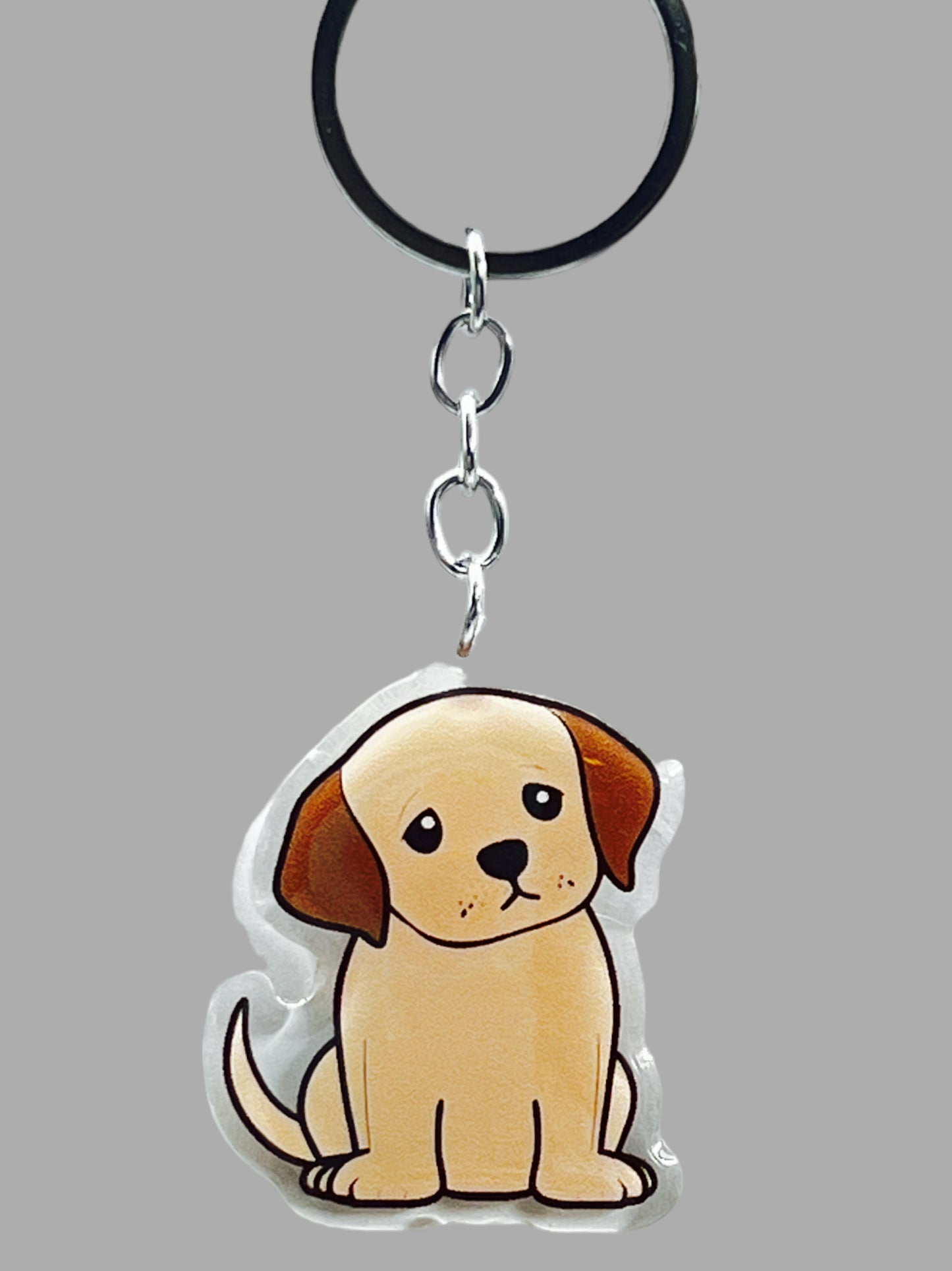 Doberman Pinscher Dog Acrylic Keychain Cute kawaii memorial ornament, pet portrait charm gift backpack photo fob, dad car décor, dog mom gift