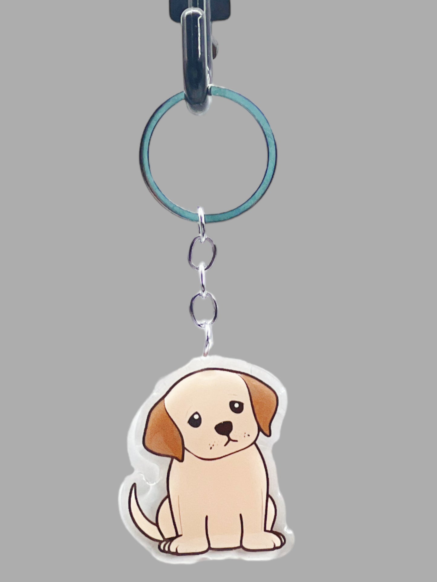 Doberman Pinscher Dog Acrylic Keychain Cute kawaii memorial ornament, pet portrait charm gift backpack photo fob, dad car décor, dog mom gift