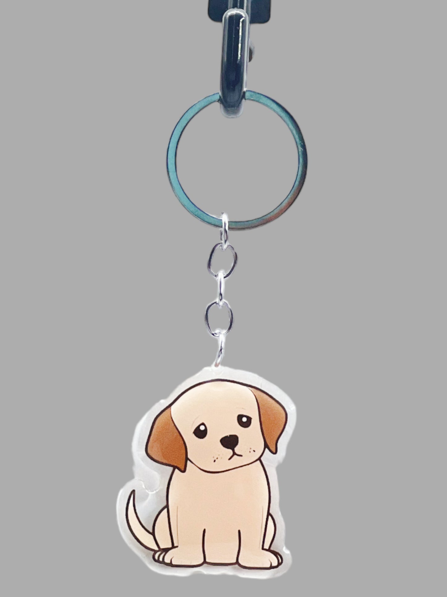 Doberman Pinscher Dog Acrylic Keychain Cute kawaii memorial ornament, pet portrait charm gift backpack photo fob, dad car décor, dog mom gift