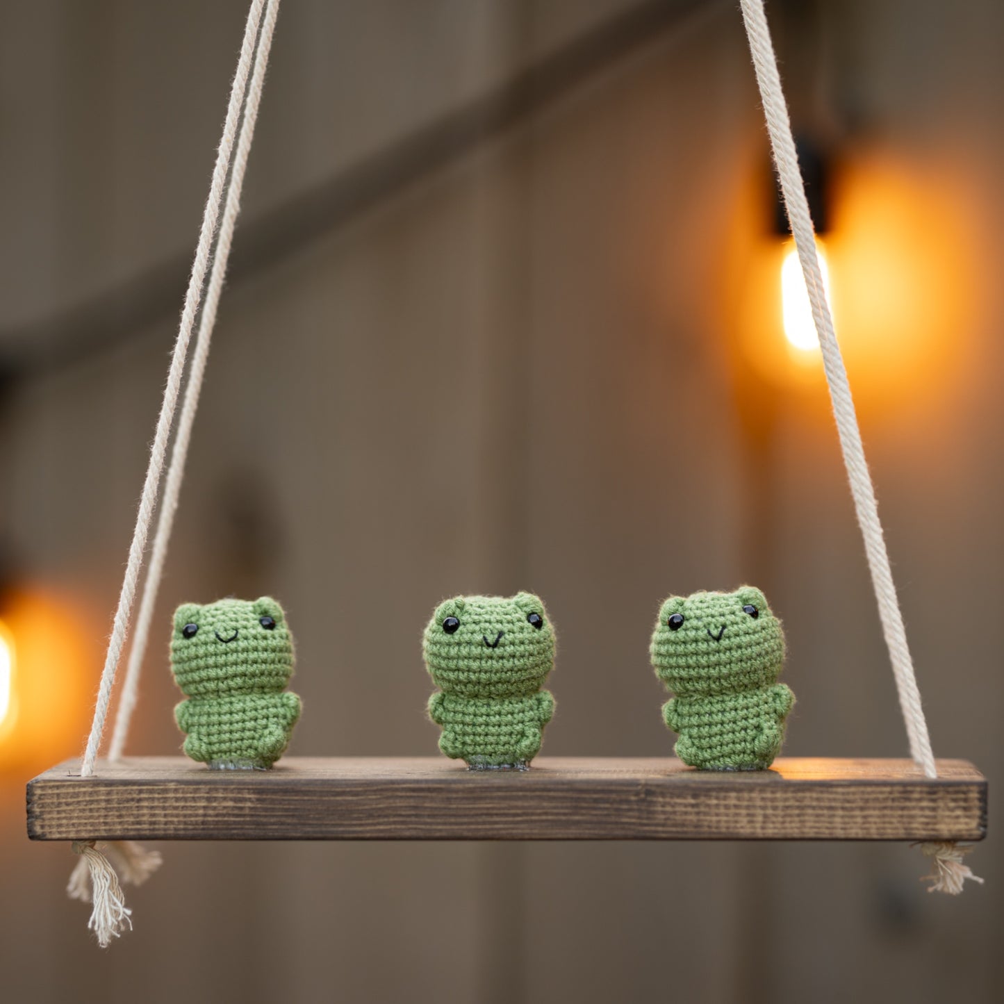 Frogs on a swing Hanging Wall Shelf