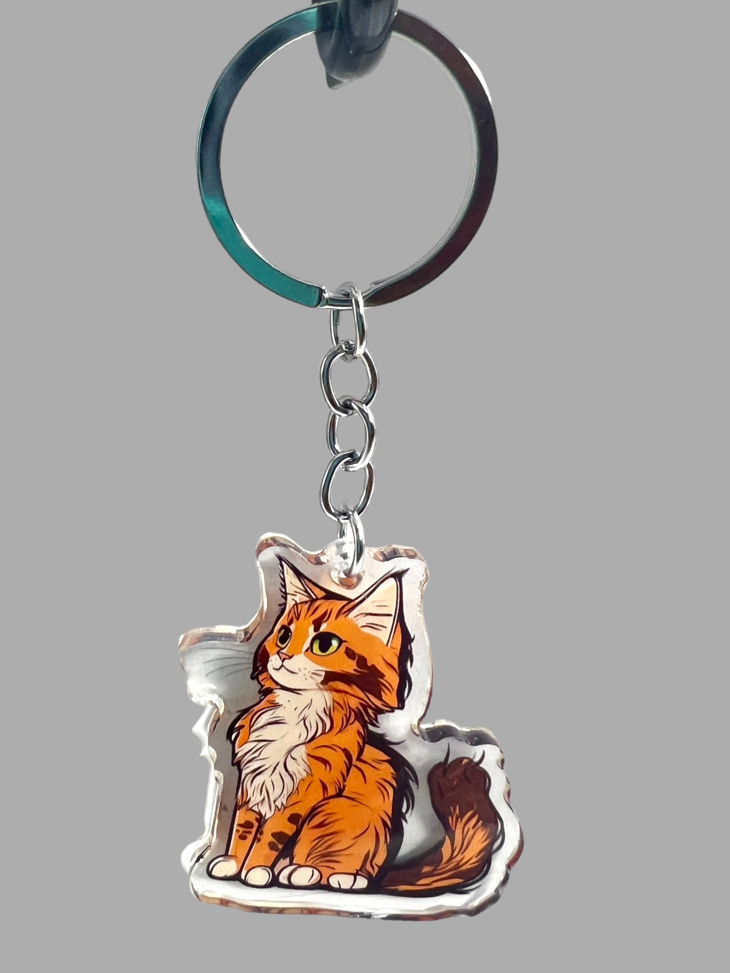 Maine Coon Cat Acrylic Keychain, Cute kawaii memorial ornament, pet portrait charm gift backpack fob, dad car décor, first day of school gift