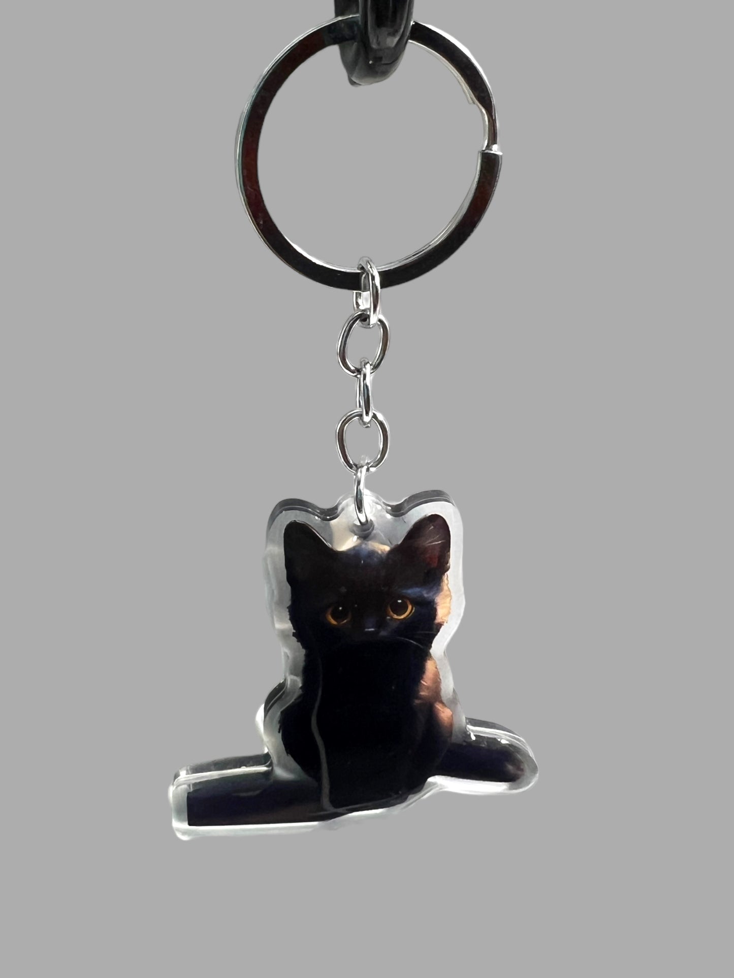American Short Hair Cat Acrylic Keychain Cute kawaii animal memorial ornament, pet portrait charm gift backpack photo fob or dad car décor