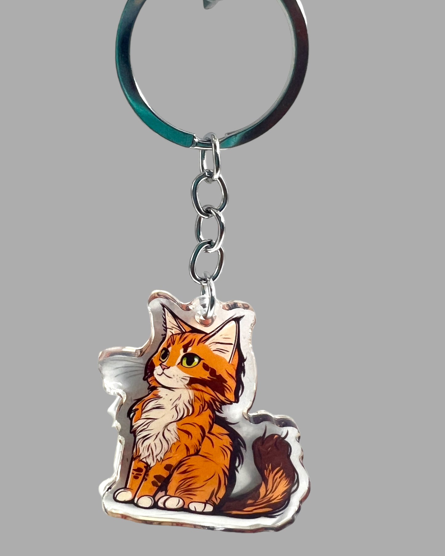 Maine Coon Cat Acrylic Keychain, Cute kawaii memorial ornament, pet portrait charm gift backpack fob, dad car décor, first day of school gift