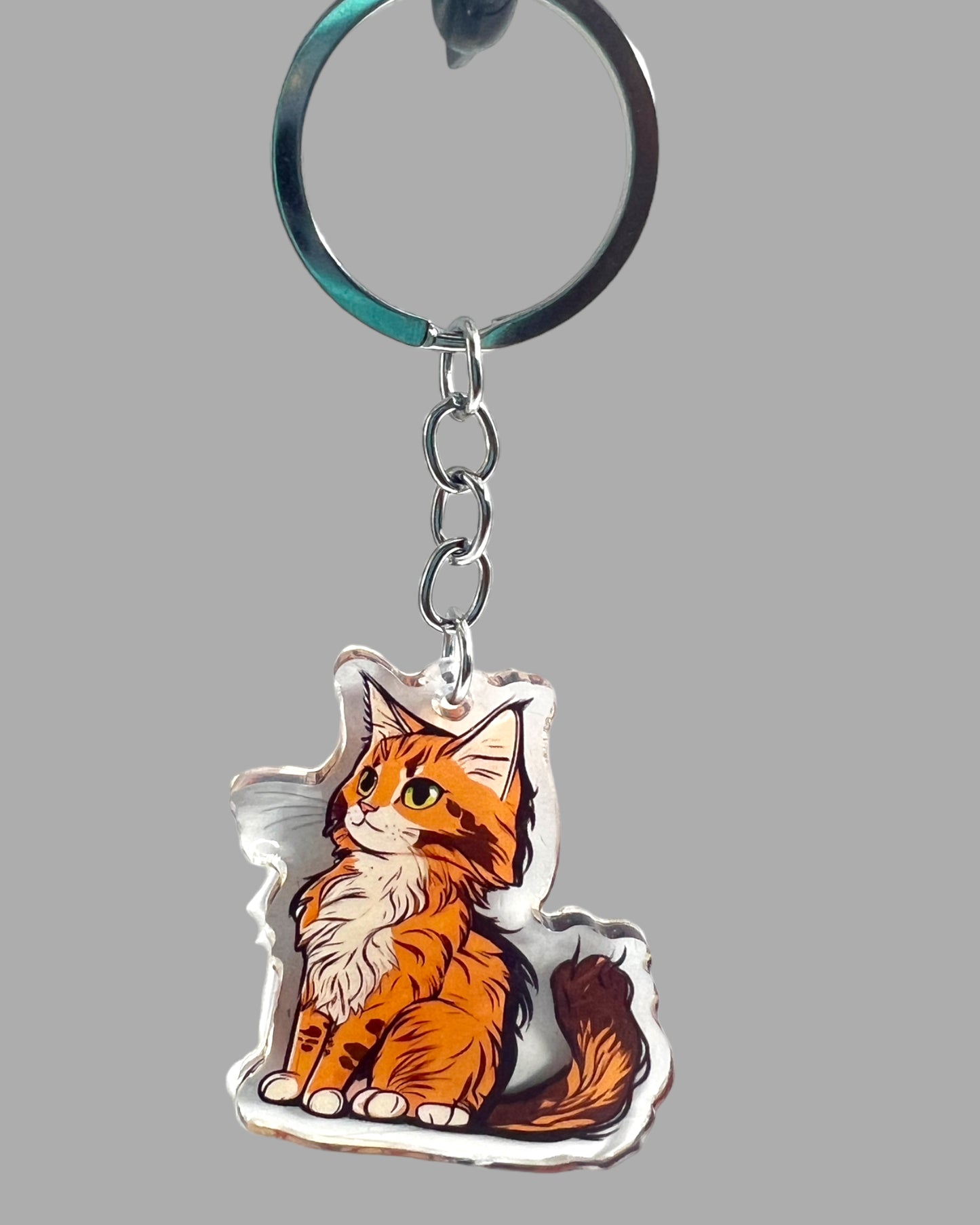 Maine Coon Cat Acrylic Keychain, Cute kawaii memorial ornament, pet portrait charm gift backpack fob, dad car décor, first day of school gift