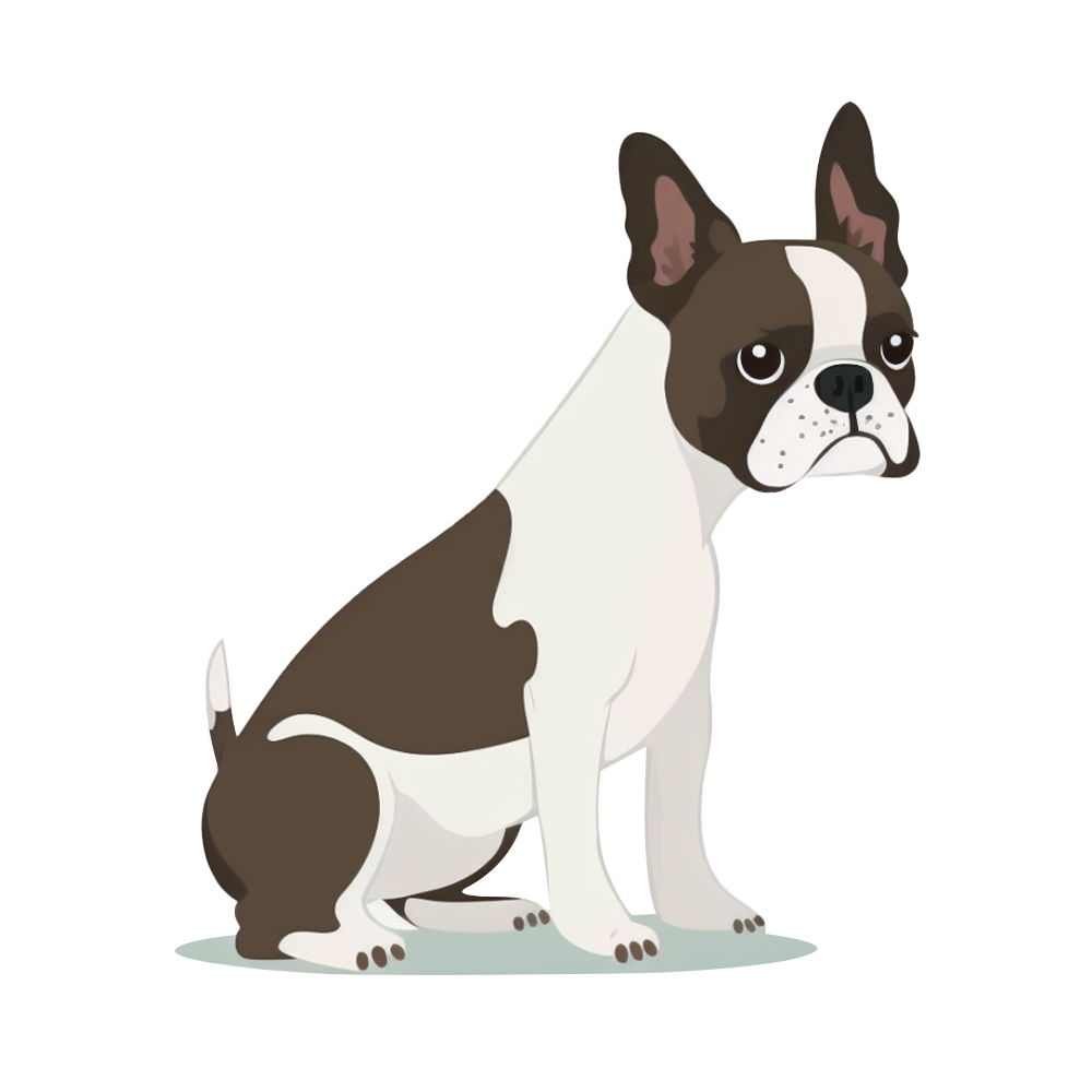 Animal stickers