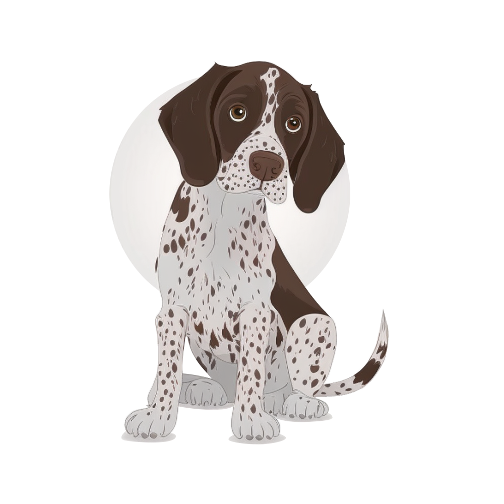 Animal stickers