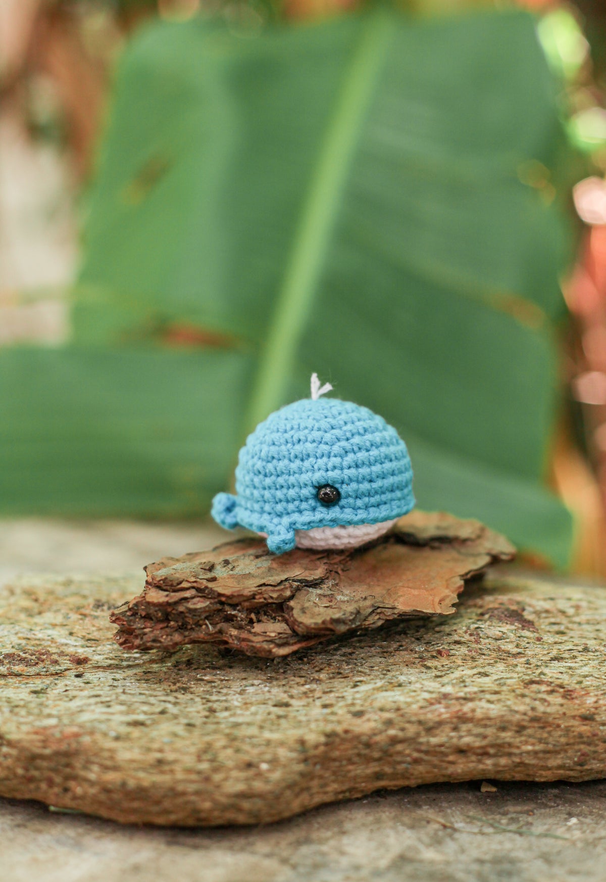 Light blue crochet whale mini perched on a piece of bark with a large green leaf behind it