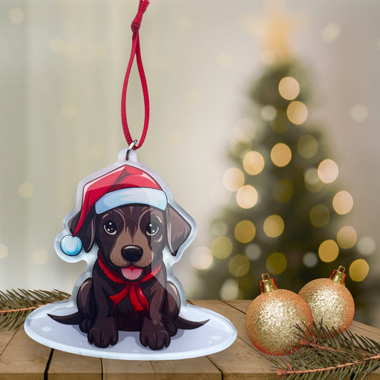 Acrylic Pet ornament, Christmas Ornament, Pet Memorial Ornament,Christmas Photo Ornament, Pet Portrait