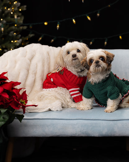 Christmas Dog Reindeer Sweater