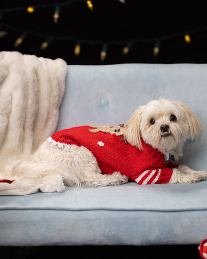 Christmas Dog Reindeer Sweater