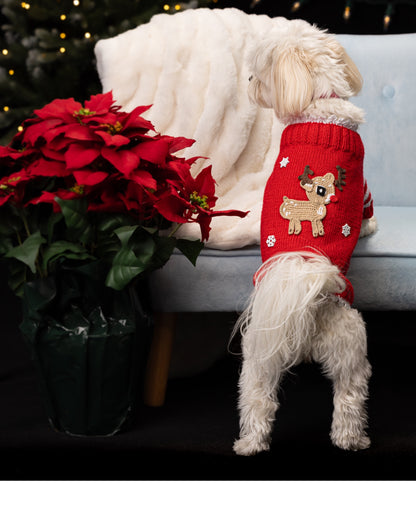 Christmas Dog Reindeer Sweater