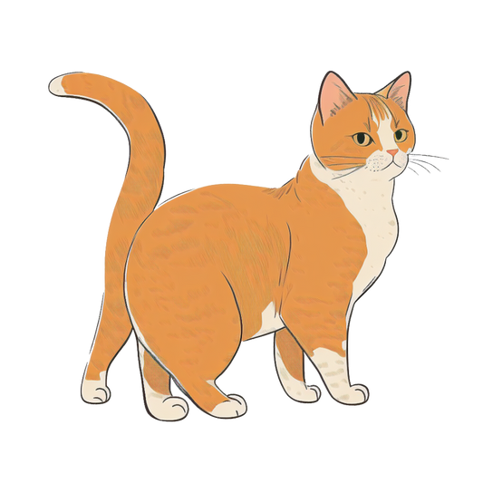 Animal stickers