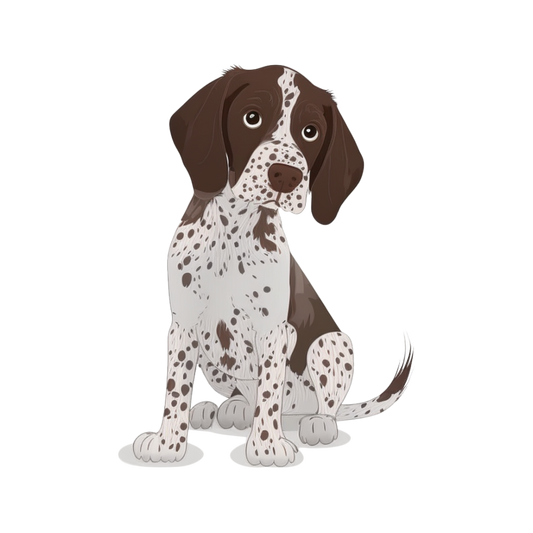 Animal stickers