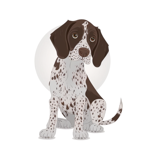 Animal stickers